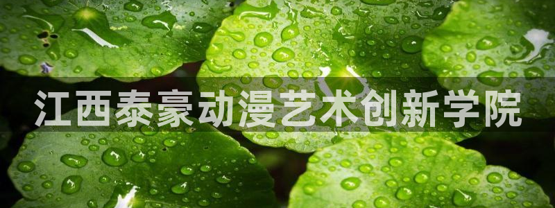 omofun动漫在线观看动漫最新版本更新