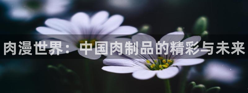 omofun动漫官网在线观看